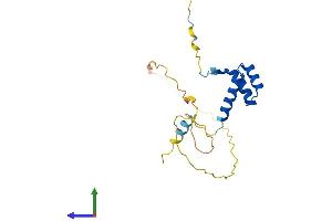 Protein Structure (PS) image for SEBOX Homeobox (SEBOX) (AA 1-190) protein (His tag) (ABIN7556707)