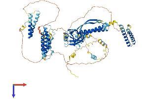CC2D1B Protein (AA 1-848) (His tag)