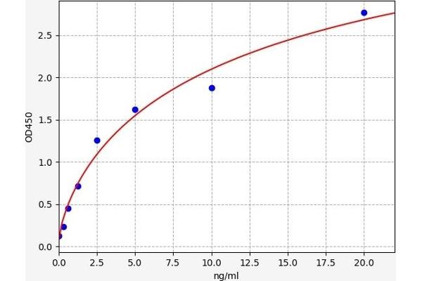 LIFR ELISA Kit