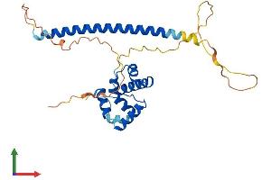 Protein Structure (PS) image for Coiled-Coil Domain Containing 106 (CCDC106) (AA 1-279) protein (His tag) (ABIN7557222)