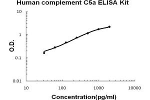 Human complement C5a Accusignal ELISA Kit Human complement C5a AccuSignal ELISA Kit standard curve. (C5A ELISA Kit)