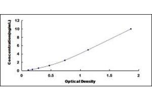 Typical standard curve (FBXL3 ELISA Kit)