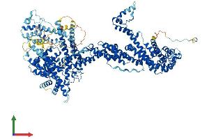 AlphaFold protein structure predicition of Human Recombinant CYFIP2 Protein, UniprotID Q96F07