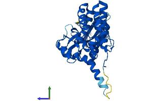 Protein Structure (PS) image for Fructosamine 3 Kinase Related Protein (FN3KRP) (AA 1-309) protein (His tag) (ABIN7548914)