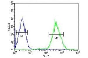 FOXP3 antibody flow cytometric analysis of HepG2 cells (right histogram) compared to negative control cells (left histogram). (FOXP3 Antikörper  (AA 155-182))