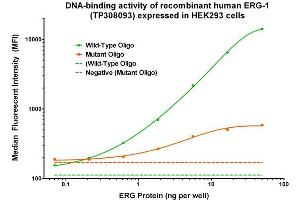 Bioactivity measured with Activity Assay (ERG Protein (Transcript Variant 1) (Myc-DYKDDDDK Tag))