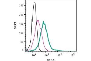 Cell surface detection of CD9 by direct flow cytometry in live intact mouse J774 macrophage cell line: + Rabbit IgG Isotype Control-FITC (ABIN7582044). (CD9 Antikörper  (Extracellular) (FITC))