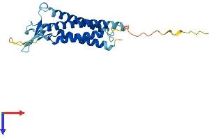 Claudin 7 Protein (CLDN7) (AA 1-211) (His tag)