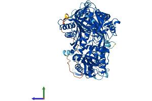 AlphaFold protein structure predicition of Human Recombinant AGO1 Protein, UniprotID Q9UL18