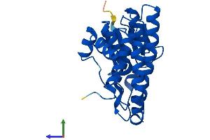 AlphaFold protein structure predicition of Mouse Recombinant Gstm5 Protein, UniprotID P48774