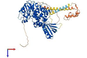 MTMR8 Protein (AA 1-704) (His tag)