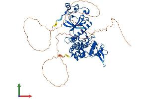 Protein Structure (PS) image for Dual-Specificity tyrosine-(Y)-phosphorylation Regulated Kinase 3 (DYRK3) (AA 1-588) protein (His tag) (ABIN7547250)