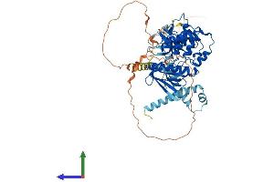 Protein Structure (PS) image for FERM Domain Containing 3 (FRMD3) (AA 1-597) protein (His tag) (ABIN7547736)
