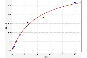 AKR1C1 ELISA Kit