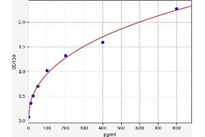 WNT1 ELISA Kit