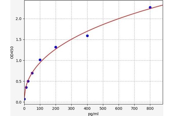 WNT1 ELISA Kit