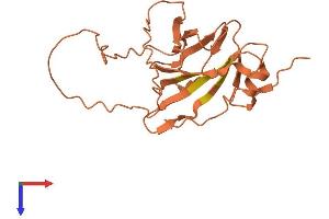 AGPAT4 Intronic Transcript 1 (Non-Protein Coding) (AGPAT4-IT1) (AA 1-198) protein (His tag)