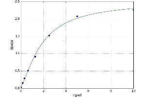 A typical standard curve