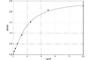 A typical standard curve (CD19 ELISA Kit)