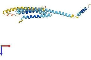 STX8 Protein (AA 1-236) (His tag)
