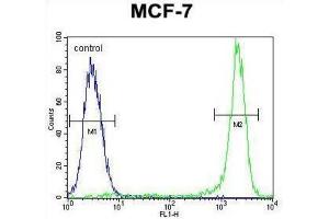 Flow Cytometry (FACS) image for anti-Kinase Suppressor of Ras 2 (KSR2) antibody (ABIN2996197) (KSR2 Antikörper)