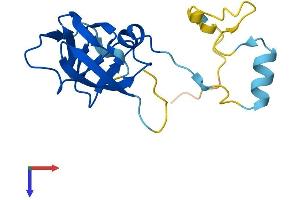 AlphaFold protein structure predicition of Human Recombinant ERVK-6 Protein, UniprotID Q9Y6I0