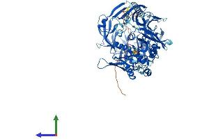 Protein Structure (PS) image for Dipeptidylpeptidase 10 (DPP10) (AA 1-797) protein (His tag) (ABIN7564063)