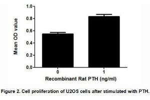 Image no. 1 for Parathyroid Hormone (PTH) (AA 32-115) (Active) protein (MBP tag,His tag) (ABIN6239833)