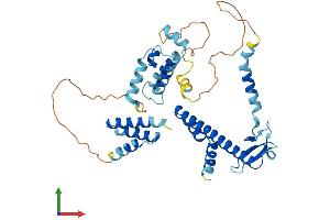 Protein Structure (PS) image for DnaJ (Hsp40) Homolog, Subfamily B, Member 14 (DNAJB14) (AA 1-379) protein (His tag) (ABIN7547134)