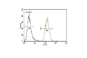 Flow Cytometry (FACS) image for anti-Xanthine Dehydrogenase (XDH) (AA 206-234), (N-Term) antibody (ABIN653225)
