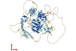 AlphaFold protein structure predicition of Human Recombinant INPPL1 Protein, UniprotID O15357 (INPPL1 Protein (AA 1-1258) (His tag))