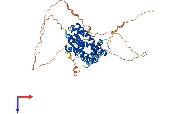 Metaxin 1 Protein (MTX1) (AA 1-466) (His tag)