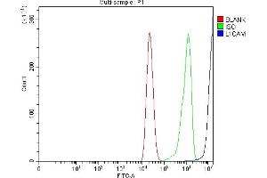Flow Cytometry analysis of Caco-2 cells using anti-L1CAM antibody (ABIN7600711).