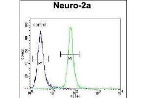 TMEM65 Antibody (N-term) (ABIN654318 and ABIN2844101) flow cytometric analysis of Neuro-2a cells (right histogram) compared to a negative control cell (left histogram). (TMEM65 Antikörper  (N-Term))