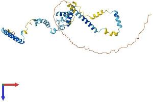 SNRNP48 Protein (AA 1-339) (His tag)
