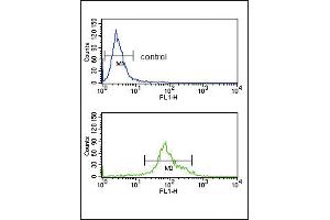 Flow cytometry analysis of K562 cells (bottom histogram) compared to a negative control cell (top histogram). (HSD17B3 Antikörper  (AA 89-118))