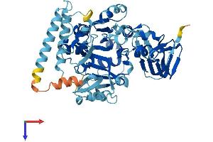 UGP2 Protein (AA 1-508) (His tag)