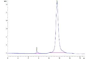 Size-exclusion chromatography-High Pressure Liquid Chromatography (SEC-HPLC) image for Plasminogen Activator, Urokinase Receptor (PLAUR) (AA 214-305) protein (His tag) (ABIN7275404)