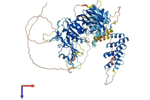 DGKZ Protein (AA 1-929) (His tag)