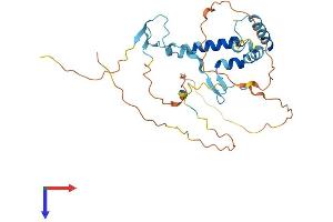 SPRY4 Protein (AA 1-300) (His tag)