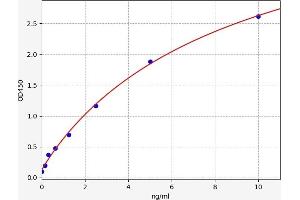 BACE1 ELISA Kit