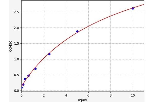 BACE1 ELISA Kit