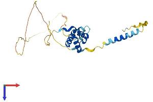 TGIF2 Protein (AA 1-237) (His tag)