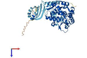 Tryptophan Hydroxylase 1 Protein (TPH1) (AA 1-447) (His tag)