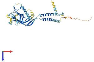 ERGIC2 Protein (AA 1-377) (His tag)