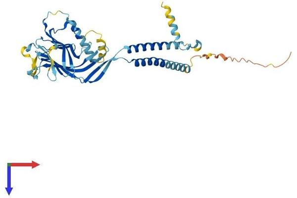 ERGIC2 Protein (AA 1-377) (His tag)