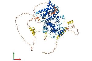 Protein Structure (PS) image for Transcription Factor 25 (Basic Helix-Loop-Helix) (TCF25) (AA 1-676) protein (His tag) (ABIN7544393)
