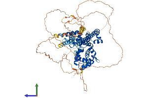 Protein Structure (PS) image for TBC1 Domain Family, Member 12 (TBC1D12) (AA 1-696) protein (His tag) (ABIN7557899)
