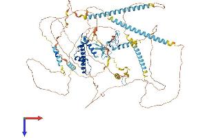 TAF3 Protein (AA 1-932) (His tag)