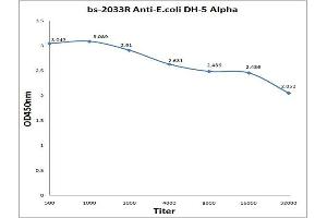 Antigen: 0. (E.Coli Dh-5 alpha Antikörper)